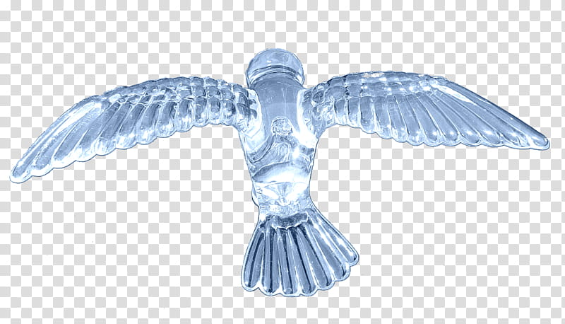 Eagle Bird, Flight, Bird Flight, Wing, Beak, Bird Of Prey, Falcon, Figurine transparent background PNG clipart