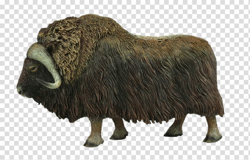 Cartoon Sheep, Muskox, Collecta, Toy, Collecting, Animal, Souqcom, Animal Figure transparent background PNG clipart