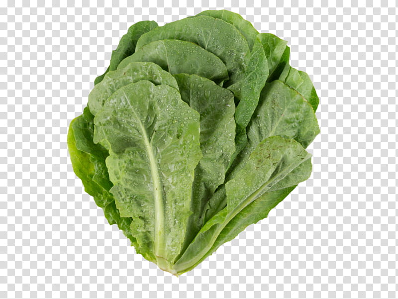 Vegetables, Romaine Lettuce, Choy Sum, Collard Greens, Cabbage, Spring Greens, Komatsuna, Leaf Vegetable transparent background PNG clipart