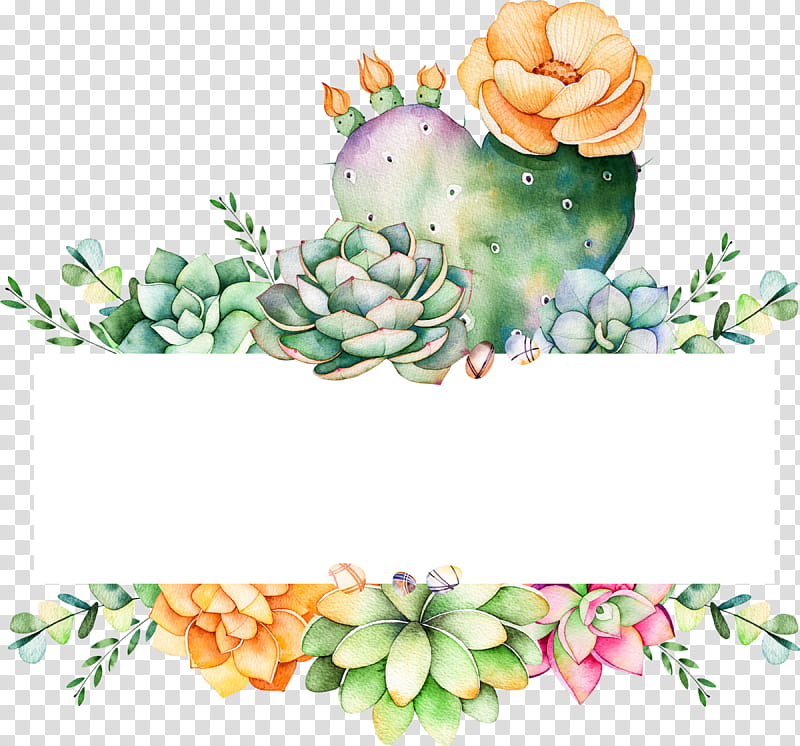 Watercolor Flower, Cactus, Succulent Plant, Watercolor Painting, , Drawing, Art, Houseplant transparent background PNG clipart