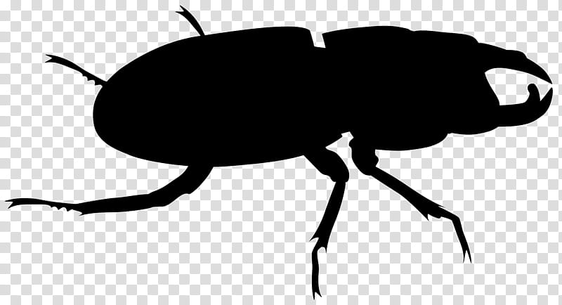 Leaf Silhouette, Weevil, Insect, Scarab, Beetle, Pest, Ground Beetle, Blister Beetles transparent background PNG clipart