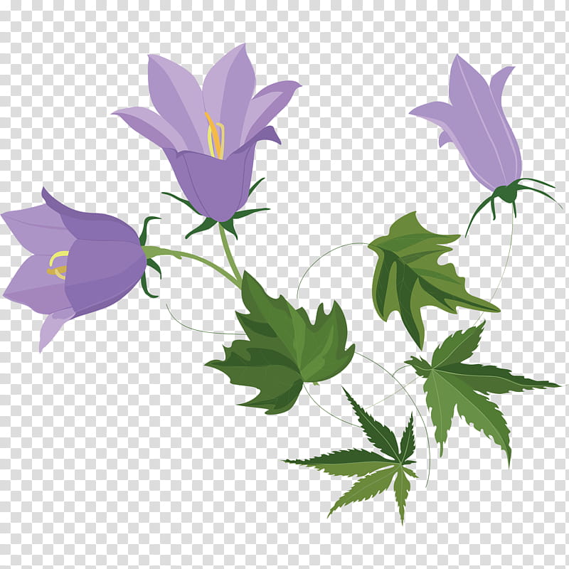 Drawing Of Family, Harebell, Flower, Bellflower Family, Petal, Plants, Vascular Plant, Shiny Flower Hairband Pony Tail transparent background PNG clipart