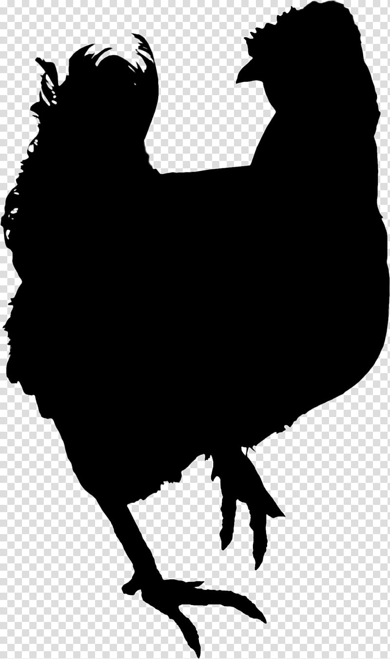 Bird Line Art, Rooster, Chicken, Silhouette, Chicken As Food, Beak, Blackandwhite, Live transparent background PNG clipart