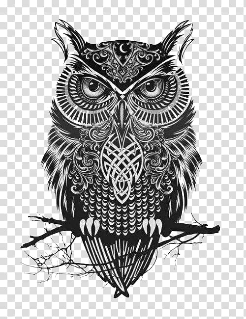 grayscale of owl transparent background PNG clipart