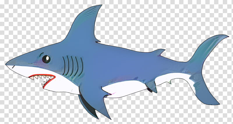 Great White Shark, Tiger Shark, Drawing, Cartoon, Caricature, Baby Shark, Fish, Fin transparent background PNG clipart