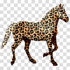 , brown and black leopard print horse illustration transparent background PNG clipart