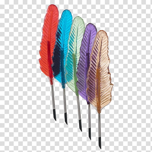 malfoypure k resource , red, blue, green, purple, and brown feathers transparent background PNG clipart