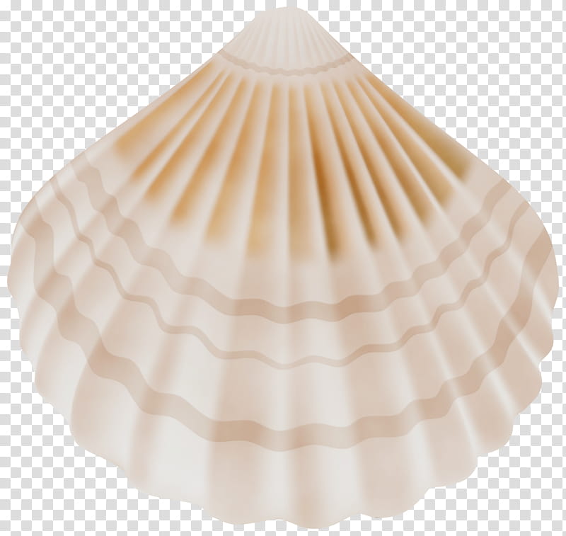 Watercolor, Paint, Wet Ink, Lighting, Seashell, White, Clam, Cockle transparent background PNG clipart