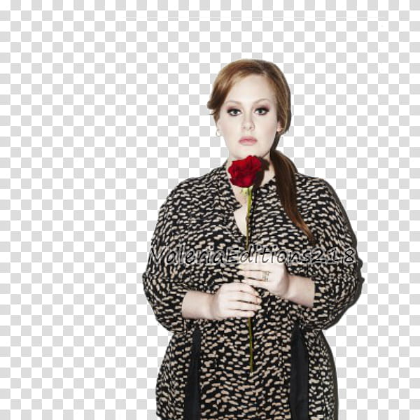 Adele transparent background PNG clipart