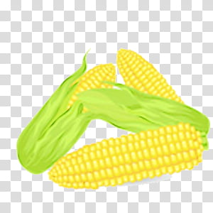 Candy Corn, Watercolor, Paint, Wet Ink, Corn On The Cob, Maize, Sweet Corn, Field Corn transparent background PNG clipart thumbnail