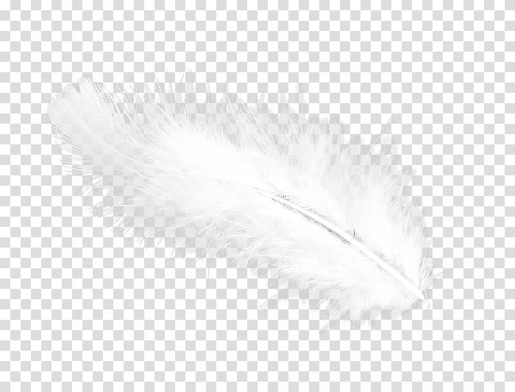Princess, white feather illustration transparent background PNG clipart