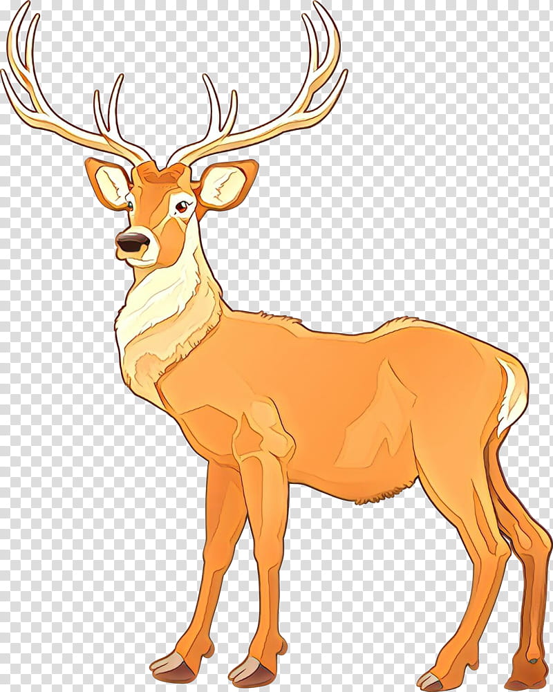 Reindeer, Cartoon, Wildlife, Antler, Antelope, Elk transparent background PNG clipart