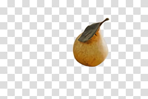 tree pear pear plant woody plant, Fruit, Food transparent background PNG clipart thumbnail