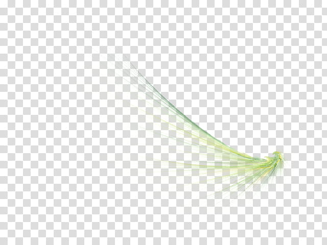Wings file , green leaf transparent background PNG clipart