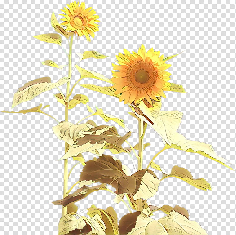 Flowers, Two Cut Sunflowers, Common Sunflower, Painting, Chrysanthemum, Cut Flowers, Daisy Family, Vincent Van Gogh transparent background PNG clipart