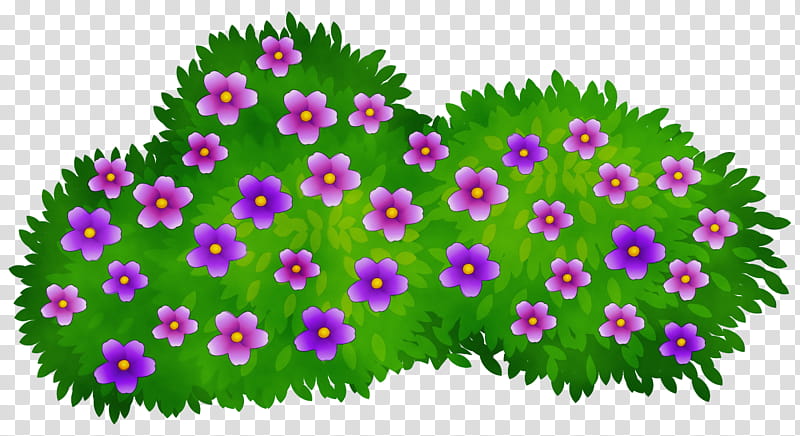 Family Tree, Shrub, Flower, Rose, Lycianthes Rantonnetii, Plants, Hedge, Grass transparent background PNG clipart