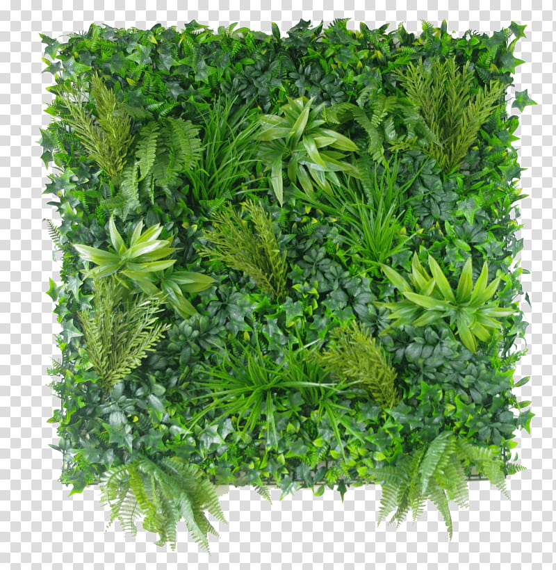 Green Grass, Green Wall, Garden, Hedge, Designer Vertical Gardens, Gardening, Vertical Gardens Direct, Artificial Turf transparent background PNG clipart
