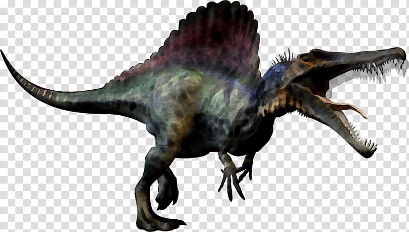 Velociraptor, Tyrannosaurus, Dinosaur Size, Spinosaurus, Theropods, Animal Figure, EXTINCTION, Animation transparent background PNG clipart