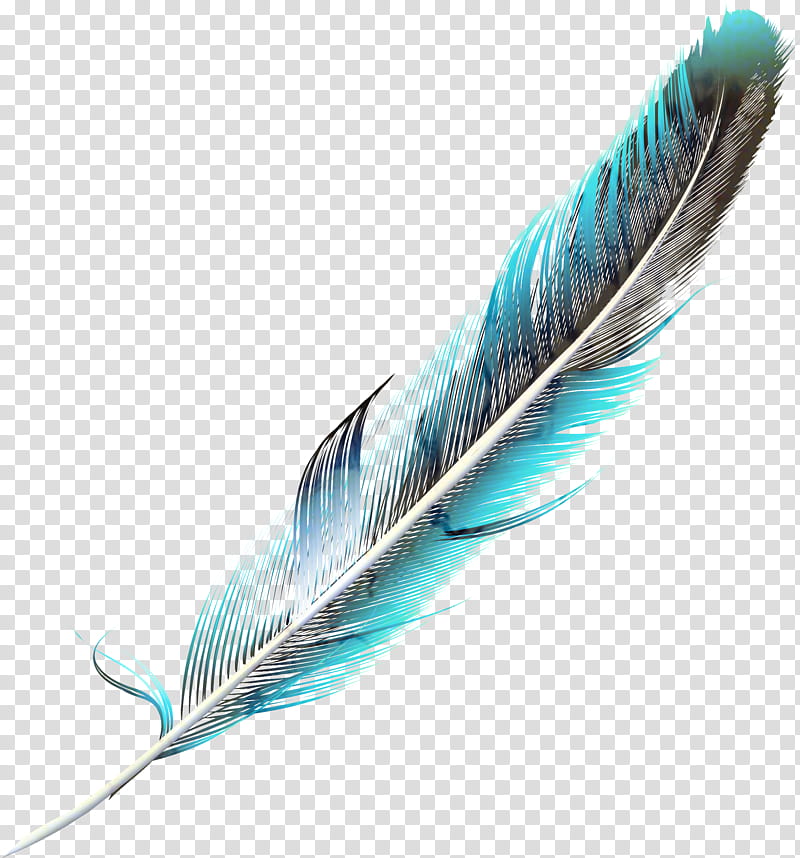 Writing, Feather, Alex Stewart, Quill, Feather, Peafowl, Plumas De Colores, Television transparent background PNG clipart
