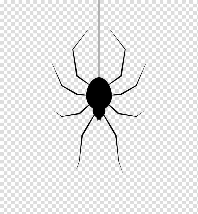 HALLOWEEN HANNAK, black spider graphics transparent background PNG clipart