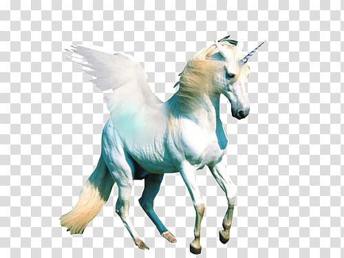 WEBPUNK , white unicorn transparent background PNG clipart