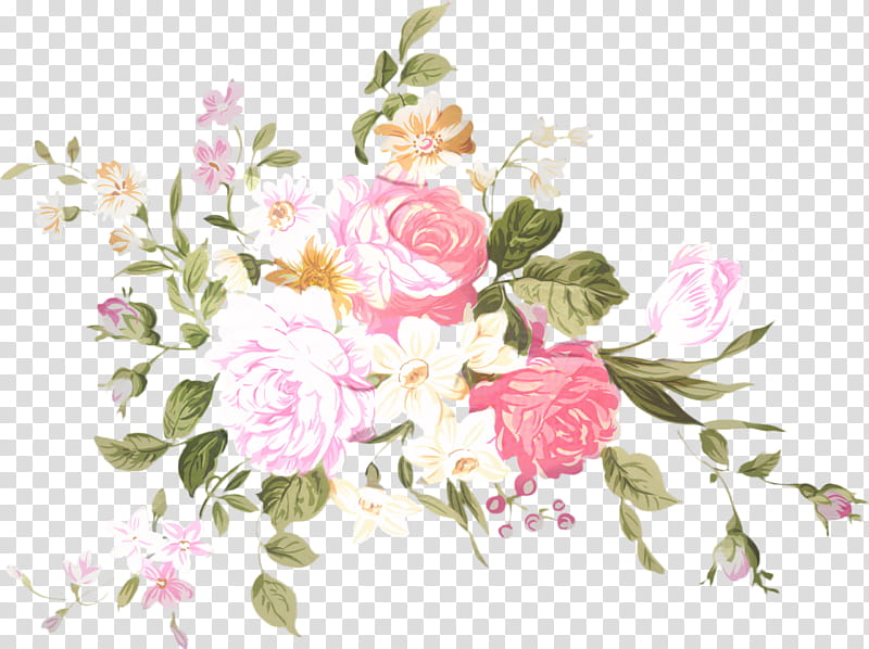 Water Paint Flowers, Garden Roses, Cabbage Rose, Floral Design, Goods, Cut Flowers, Price, Flower Bouquet transparent background PNG clipart