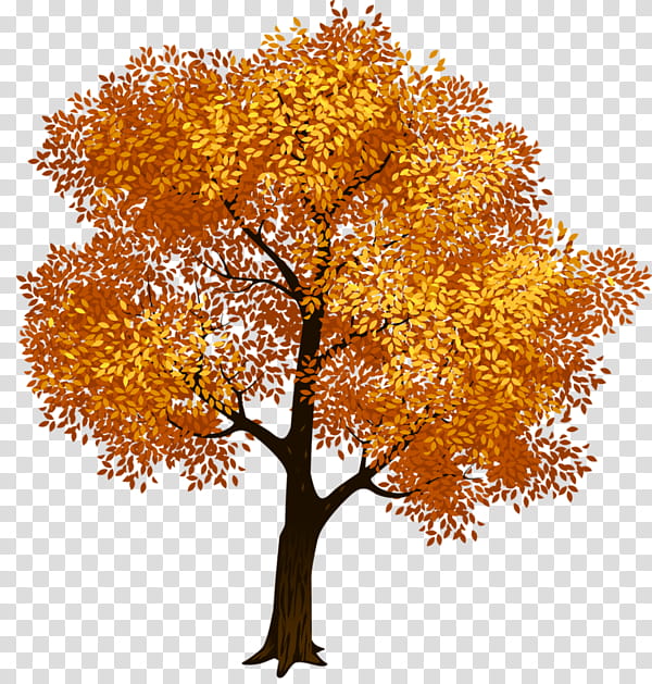 Family Tree, Fall Tree, Branch, Autumn, Maple Tree, Twig, Plane Tree Family transparent background PNG clipart