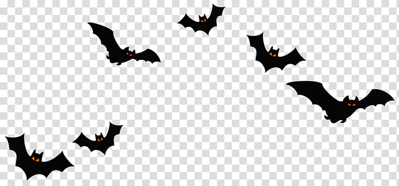HALLOWEEN HANNAK, black bat transparent background PNG clipart