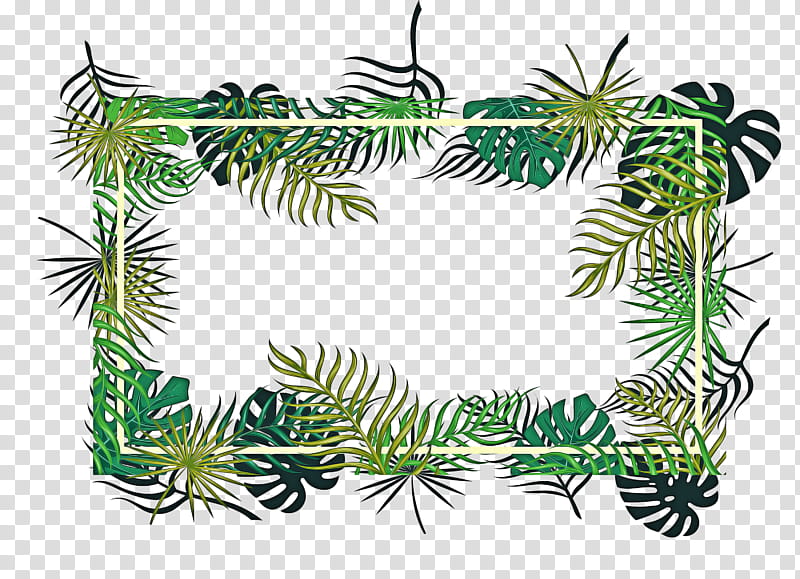 Cartoon Palm Tree, Leaf, Plants, Frames, Spruce, Decorative Frames, Pine, Plant Stem transparent background PNG clipart