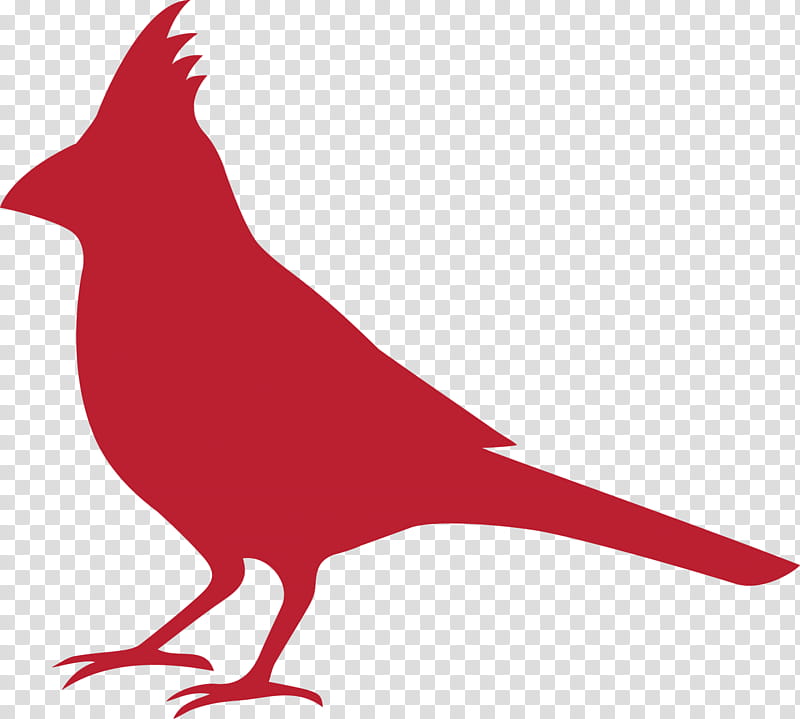 Cardinal Bird, Silhouette, Beak, Northern Cardinal, Red, Tail, Perching Bird transparent background PNG clipart