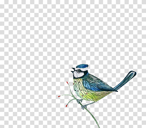 blue bird painting transparent background PNG clipart