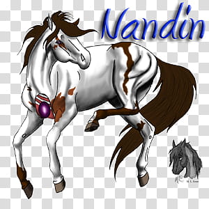 Nandin again, white and black horse painting transparent background PNG clipart