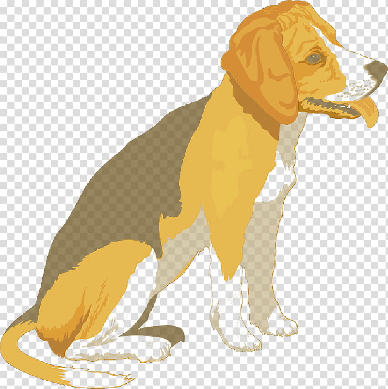 Border Collie, Beagle, Puppy, Pet, Silhouette, Dog, Beagleharrier, English Foxhound transparent background PNG clipart
