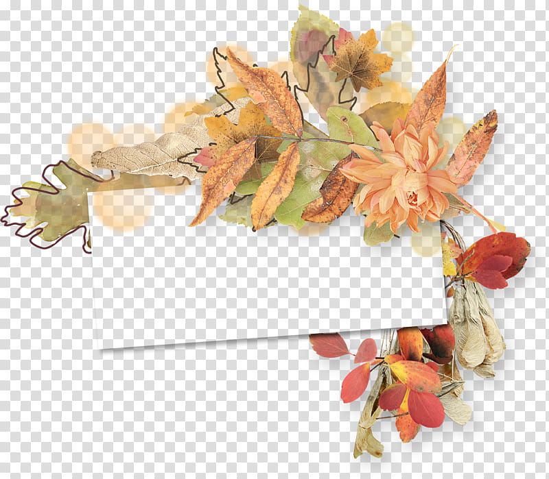 Floral Leaf, Maple Leaf, Actor, Frames, Animation, Flower, Floral Design, Food transparent background PNG clipart