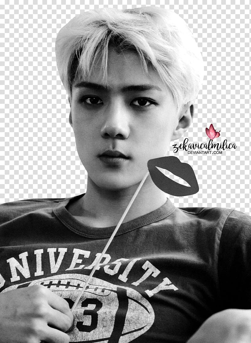 EXO Sehun Die Jungs transparent background PNG clipart