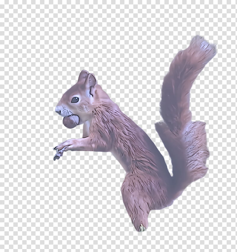 squirrel fox squirrel animal figure ground squirrels chipmunk, Grey Squirrel, Figurine, Tail, Eurasian Red Squirrel transparent background PNG clipart