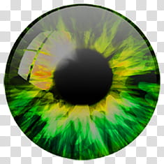 Iris , macro of green and yellow eye transparent background PNG clipart