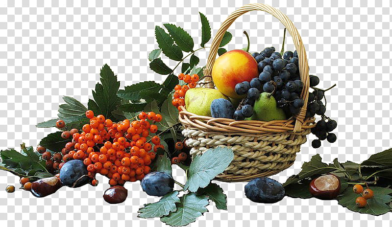 Autumn Family, Grape, Fruits And Berries, Berry, Painting, Food Gift Baskets, Blog, Still Life transparent background PNG clipart