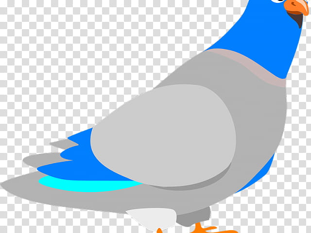 Dove Bird, Homing Pigeon, Pigeons And Doves, English Carrier Pigeon, Racing Homer, Fantail Pigeon, Indian Fantail, Fancy Pigeon transparent background PNG clipart