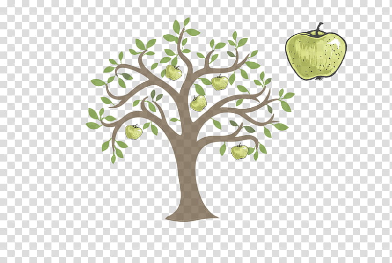 tree branch plant apple woody plant, Pear, Leaf, Fruit transparent background PNG clipart