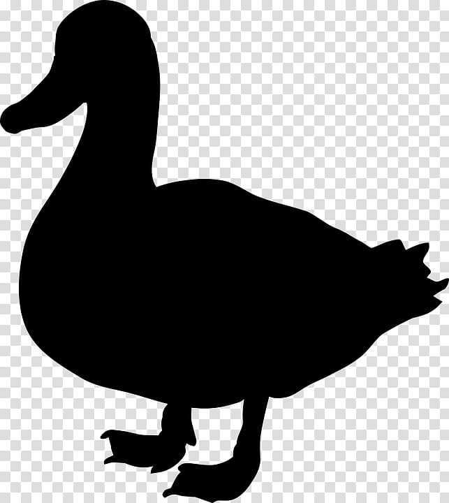 Bird Silhouette, Duck, Goose, Fowl, Beak, Water Bird, Ducks Geese And Swans, American Black Duck transparent background PNG clipart