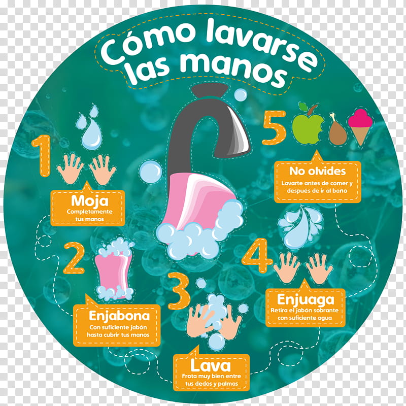 Hand Washing Tableware, Infographic, Drawing, Text, Global Handwashing Day, Hygiene, Plate transparent background PNG clipart