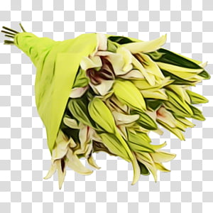 Watercolor Flower, Paint, Wet Ink, Cut Flowers, Flower Bouquet, Vase, Floristry, Lily stargazer transparent background PNG clipart thumbnail