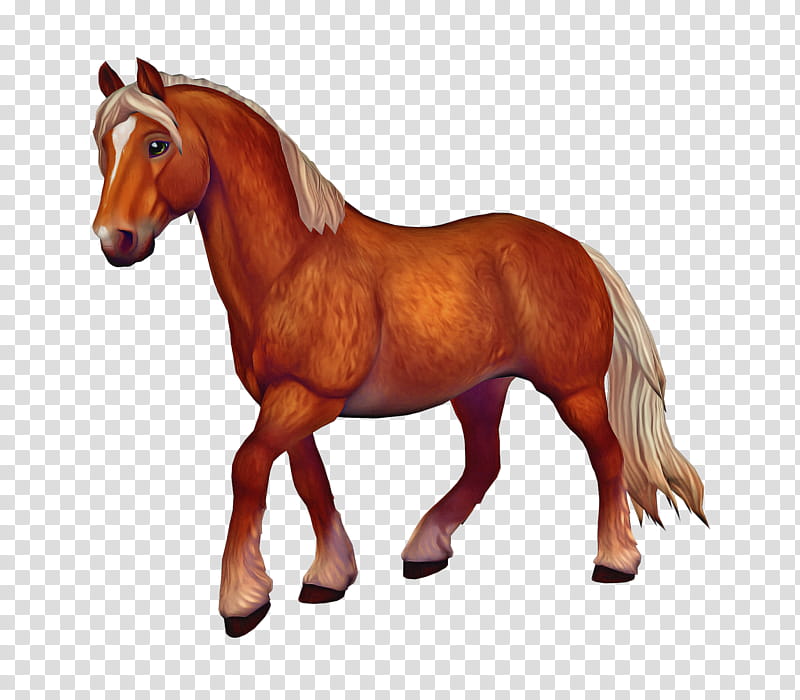 Star, Star Stable, North Swedish Horse, Friesian Horse, Akhalteke, Rhaegal, Horse Racing, Amino Communities And Chats transparent background PNG clipart