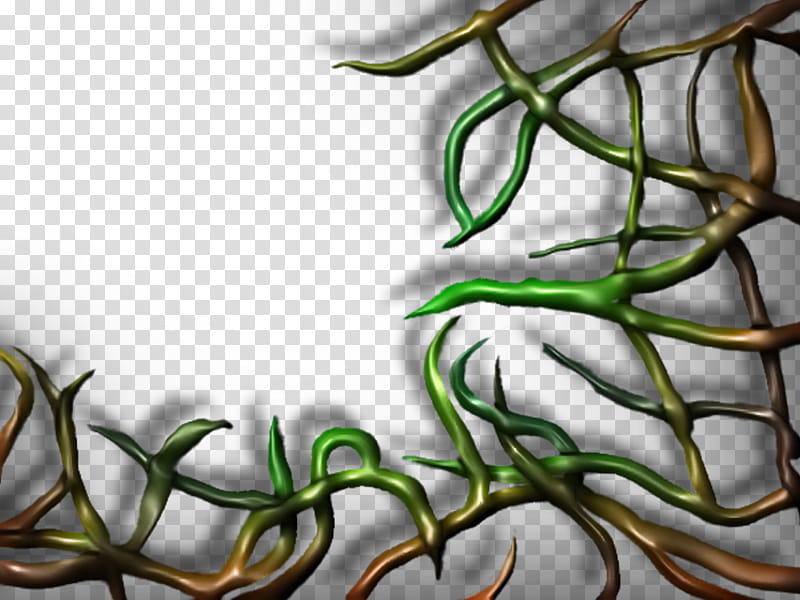 FREE Reaching Vines transparent background PNG clipart