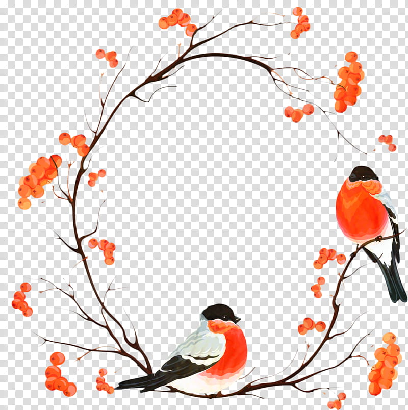 Robin Bird, Floral Design, Twig, Telephone, Leaf, Petal, Educational Institution, Director transparent background PNG clipart