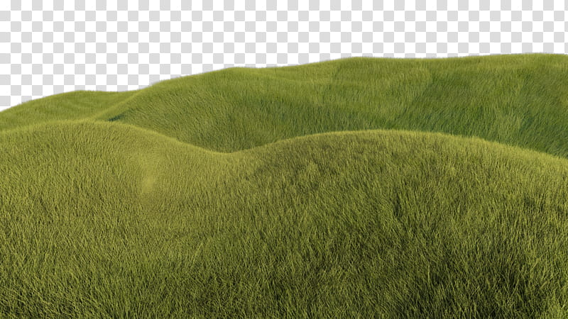 Ai Generated Green Grass Land On Transparent Background Png Image | My ...