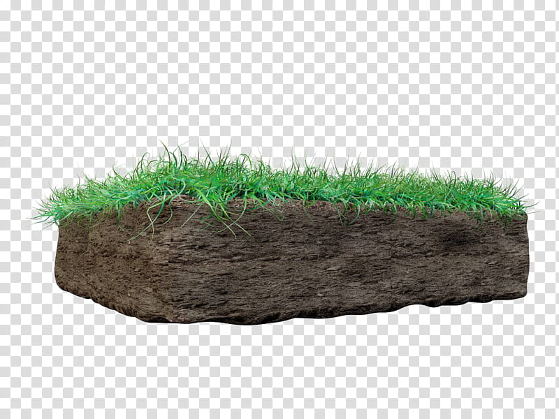 Green Grass, Soil, Mud, Rhizosphere, Soil Horizon, Dirt, Dust, Root transparent background PNG clipart