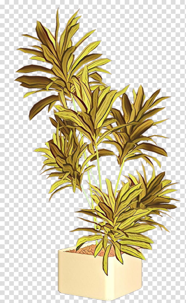 Palm Tree Drawing, Plants, Flowerpot, Rendering, Cactus, Leaf, Houseplant, Yellow transparent background PNG clipart