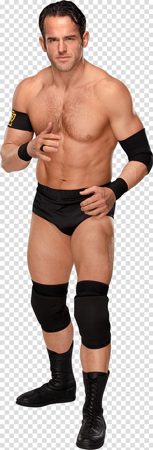 Roderick Strong () Stats transparent background PNG clipart